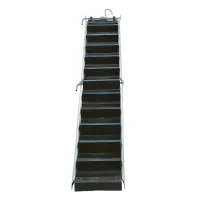 Escalier de toit